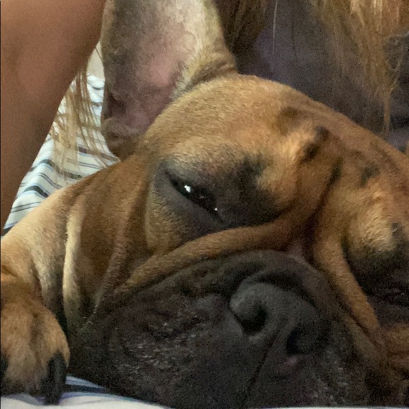 Meet your Posher, Jessica - Picture 1 of 1